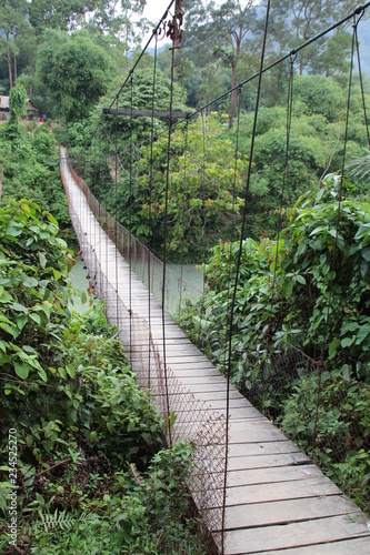 Fototapeta Naklejka Na Ścianę i Meble -  Hängebrücke in Sumatra