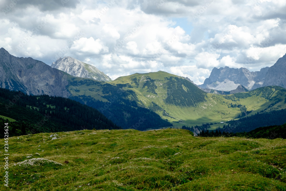 Almwiesen mit Alpengipfeln und Wolken