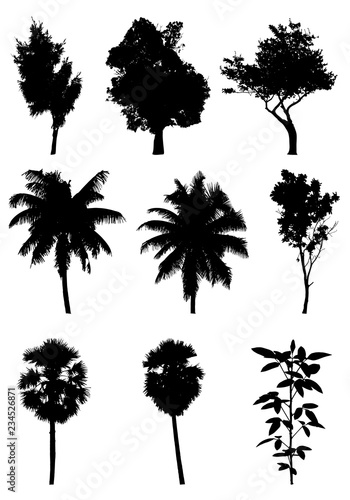 tree silhouettes on white background  nature vector illustration