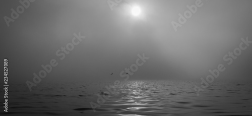 background. ducks fly in the fog. river / sea