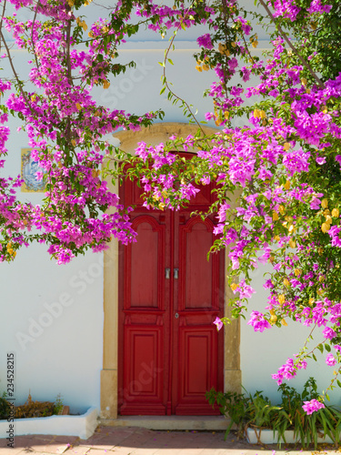 Blühende Bougainvillea vor alter portugiesischer Haustür