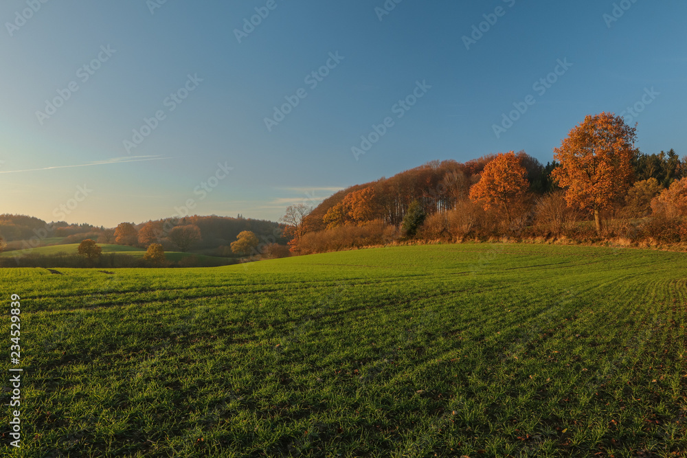 malerische Herbst Landschaft, Konzept Landwirtschaft, Feld, Knick, Herbstlaub