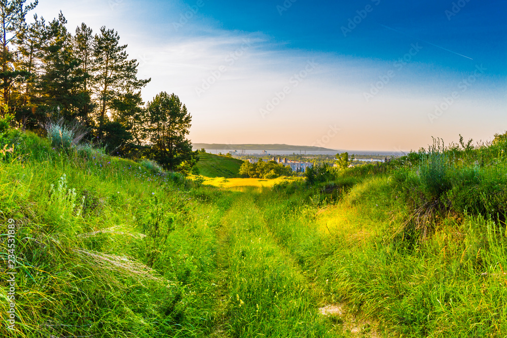 Obraz premium Summer green rural country road in a sunny day landscape. View of a rural road.