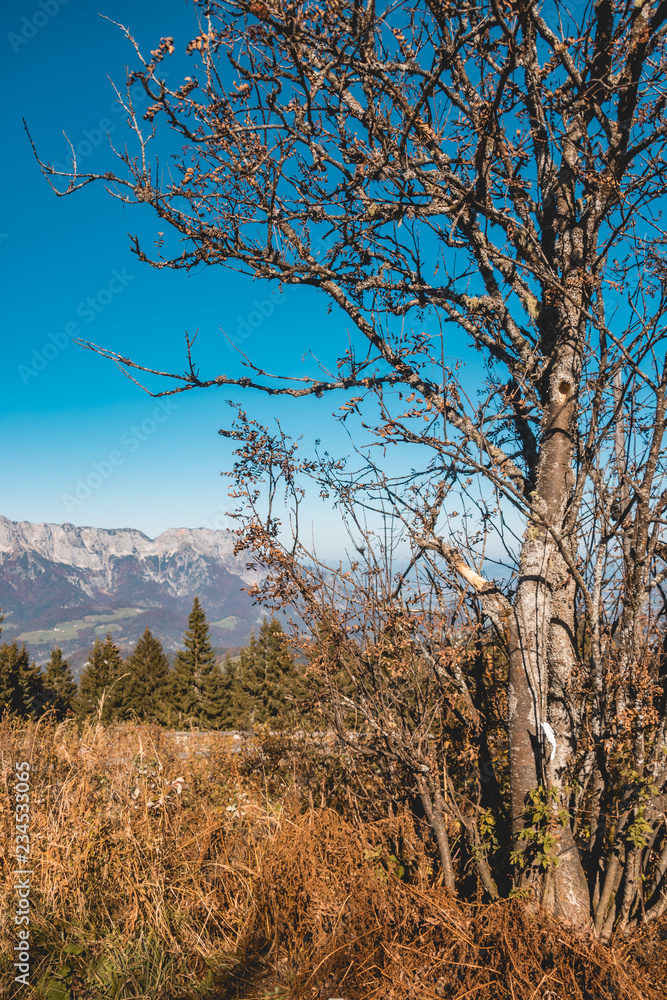 Beautiful alpine view at the famous Rossfeldstrasse-Berchtesgaden-Bavaria-Germany Beautiful alpine view at the famous Rossfeldstrasse-Berchtesgaden-Bavaria-Germany