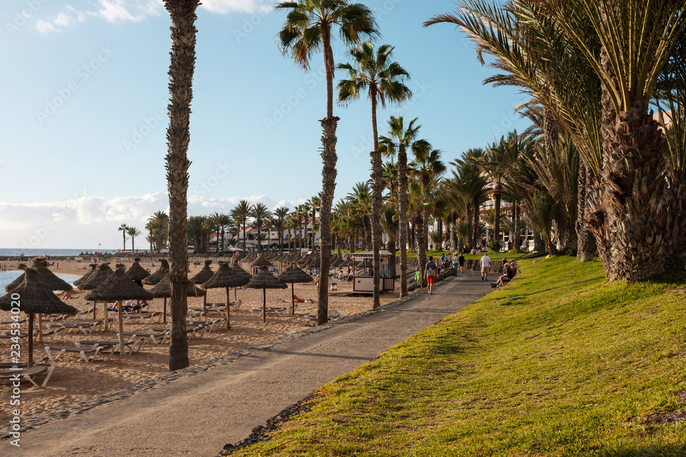 beach promenade walkway , sidewalk near beach, Playa de Las Americas, Tenerife