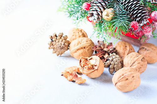 Christmas composition. Pine tree branches, pine cones, fir cones, nuts.