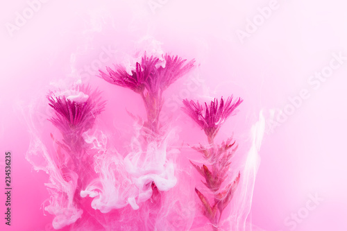 flower water background white aster chrysanthemums inside under paints acrylic purple lilac pink white smoke