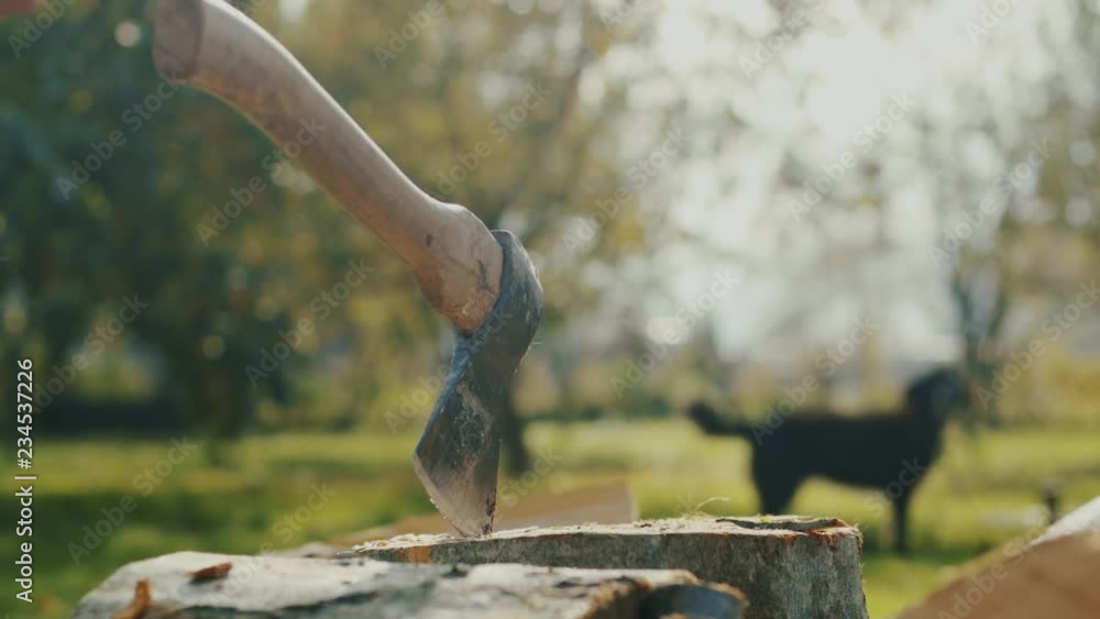Close up ax and hand man chopping wood outdoors in garden home sunset nature cut countryside male rural tool work iron log power tree energy close up slow motion Close up ax and hand man chopping wood outdoors in garden home sunset nature cut countryside male rural tool work iron log power tree energy close up slow motion