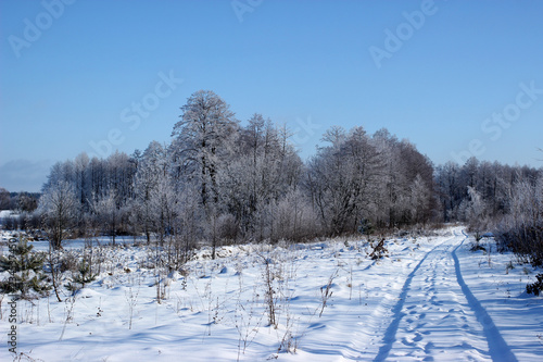 Snowy path to the neighboring village.