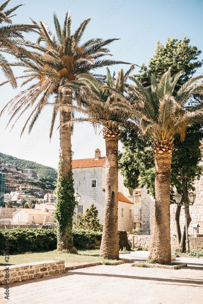 Beautiful view of the city street with buildings and palm trees in Budva in Montenegro. Budva is a popular tourist destination.