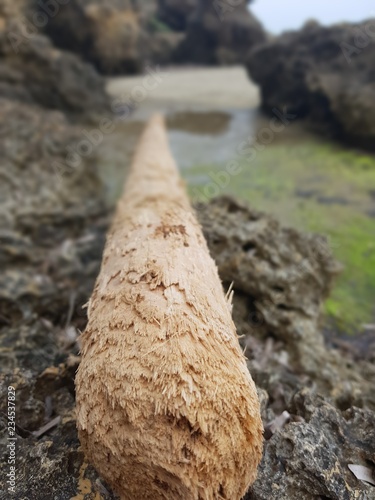 single wood