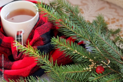 Hot aromatic tea in a cup is wrapped in a red and black scarf in a cell against a background of fir branches on a white background. Seasonal Christmas drinks