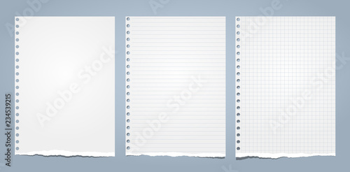 White ripped notebook paper, torn note paper for text or message are on blue background. Vector illustration