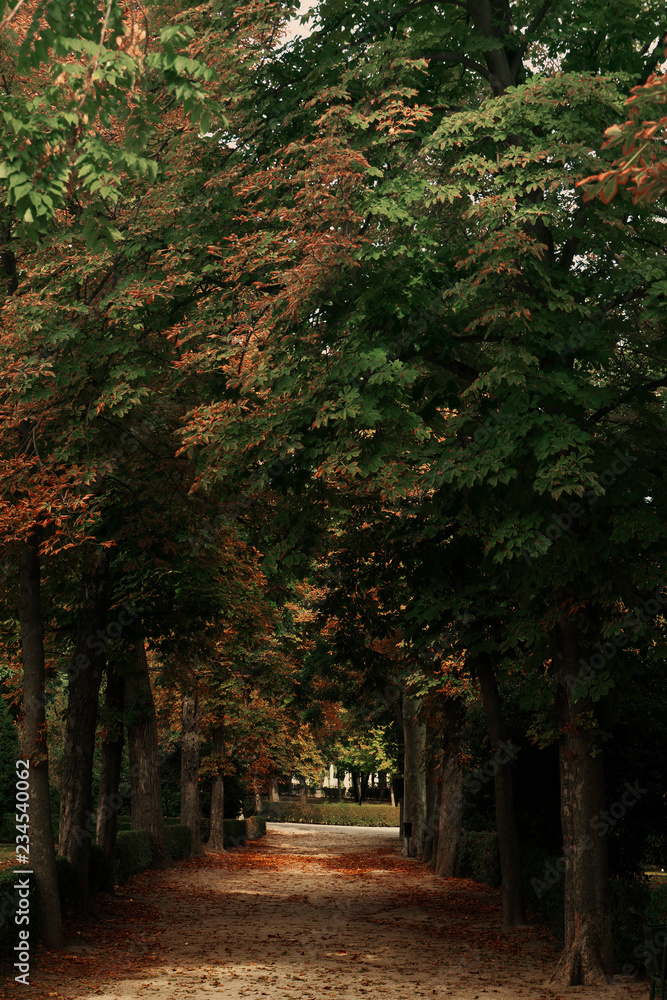 Naklejka premium Autumn atmosphere in the Park