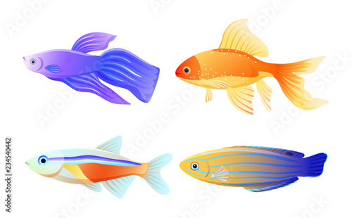 Nautical Fish Specie Color Vector Illustration