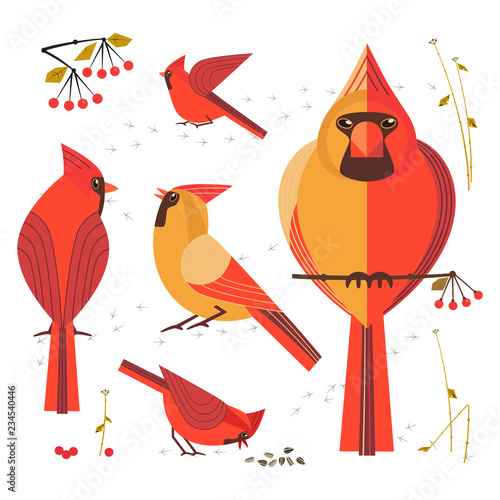 Birdwatching, bird feeding icon set. Red Northern cardinal, comic flat cartoon. Winter birds of backyard, city garden. Minimalism simplicity design. Wildlife scavenger banner sign. Vector illustration