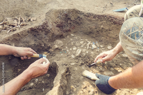 Archaeological excavations.  archaeologist with tools conducts research on human burial, skeleton, skull. photo
