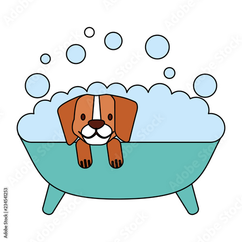 pet shop related