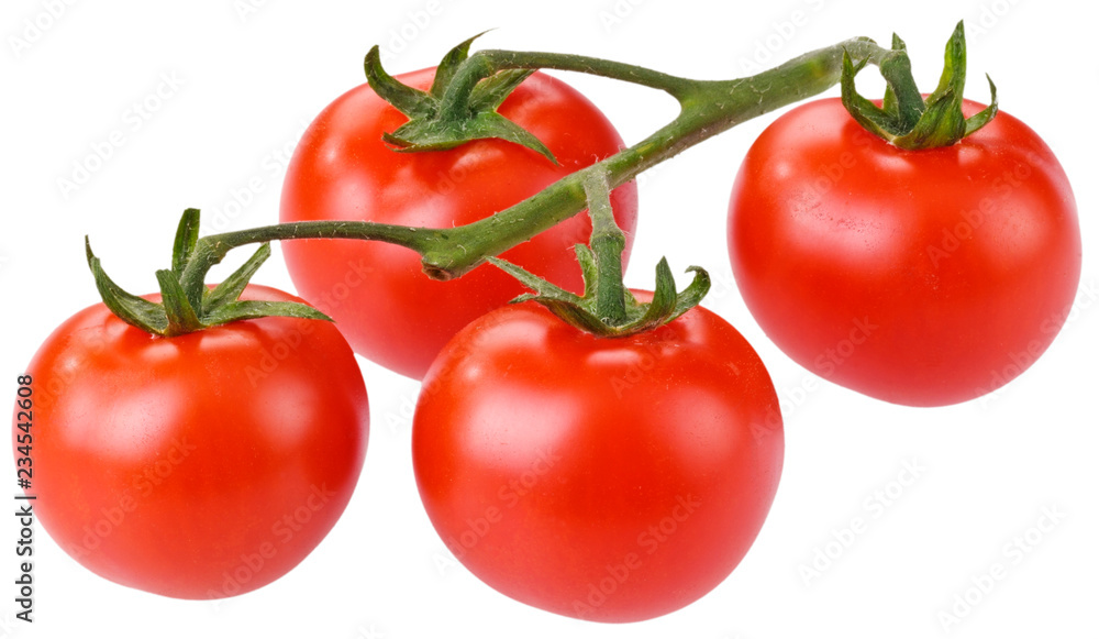 VINE TOMATOES CUT OUT VINE TOMATOES CUT OUT