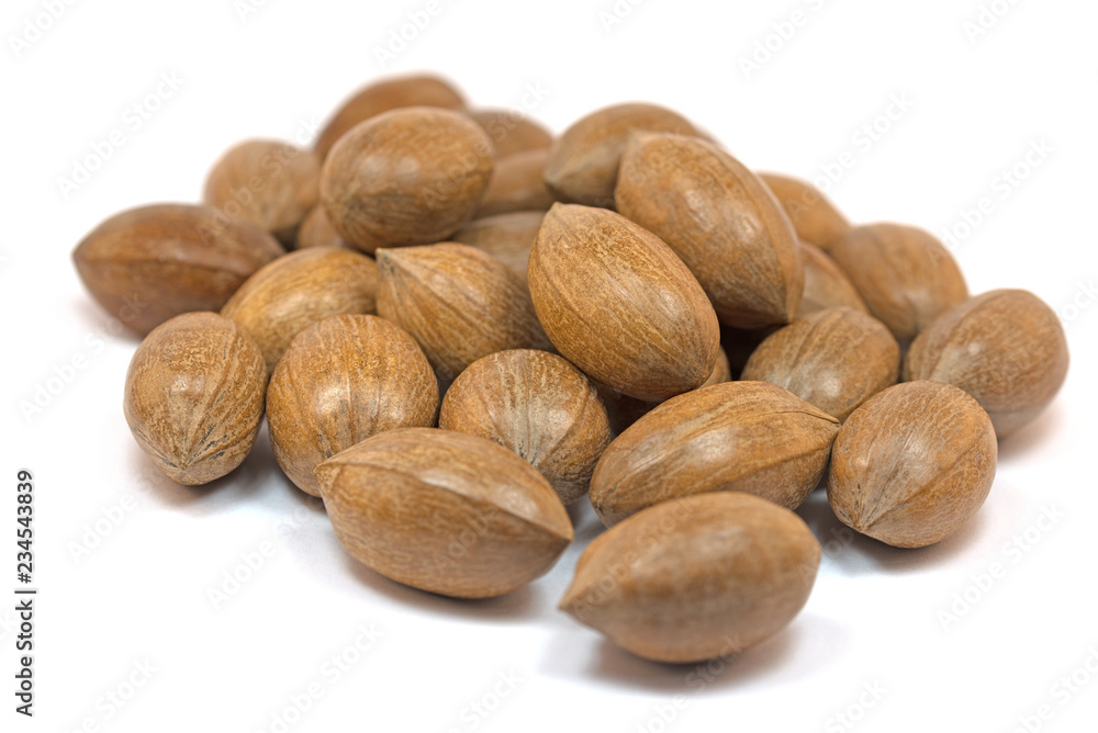 Pekannüsse, Carya illinoinensis, isoliert vor weißem Hintergrund Pekannüsse, Carya illinoinensis, isoliert vor weißem Hintergrund