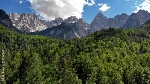 Wallpaper Mural Aerial shot of Julian Alps. Pine trees and blue cloudy skies in Triglav National Park, Slovenia. 4K, UHD Torontodigital.ca