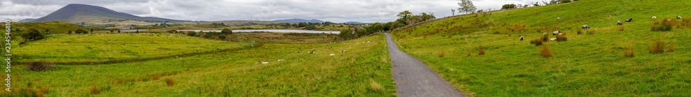Panorama with sheep herd in a farm, lake and mountains in background, Great Western Greenway trail