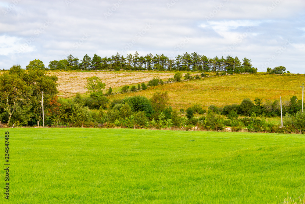 Farm field in Greenway route from Castlebar to Westport