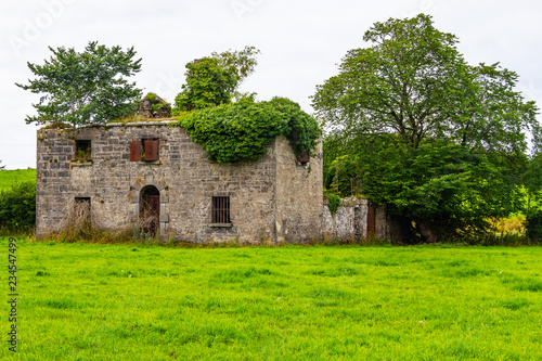 Ruins of an stone irish house taken by vegetation