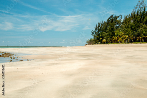 Lone Stretch of Beach in the Northeast Part of Brazil known as the Coral Coast in the State of Alagoas  photo