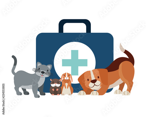 veterinary clinic petcare