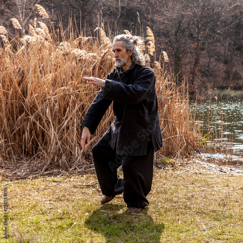 Quadro su tela mature man practicing Tai Chi discipline outdoors