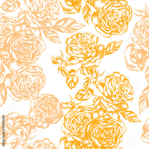 Beautiful graphic pattern with rose flowers.