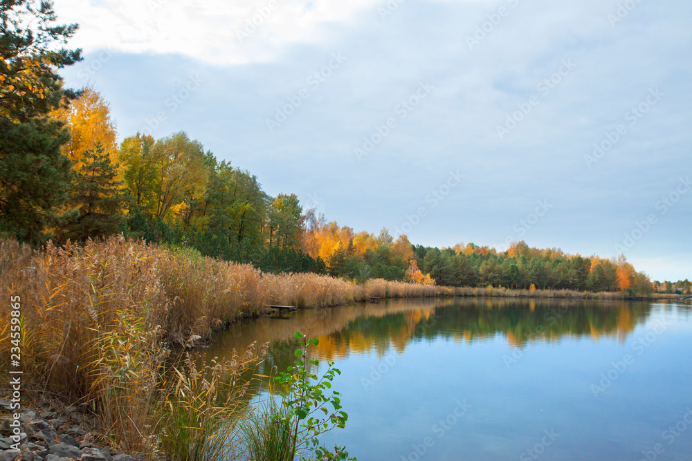 Beautiful autumn trees and bushes in the park. Colorful trees on a bank of lake or river. Autumn landscape.