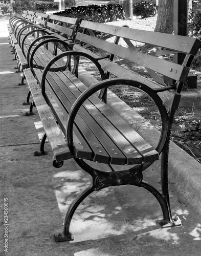 Pullen Park Benches photo