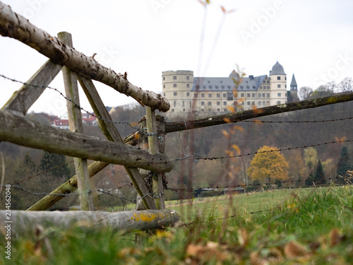 Wiese vor der Burg photo