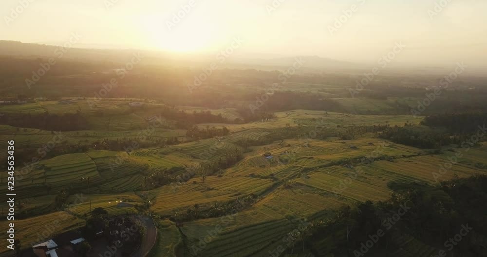 Edited drone footage over Jatiluwih Unesco rice terraces in Bali, Indonesia