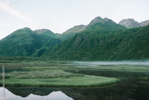 Tree covered mountains