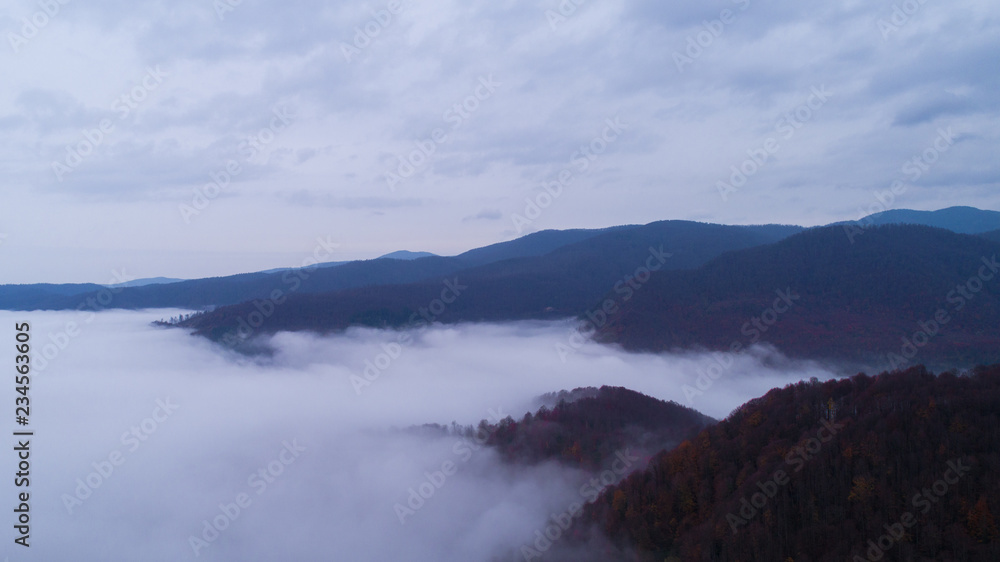 Foggy forest and natural cloud landscape photo.Aerial shot.