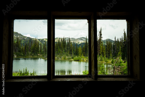 view from the window