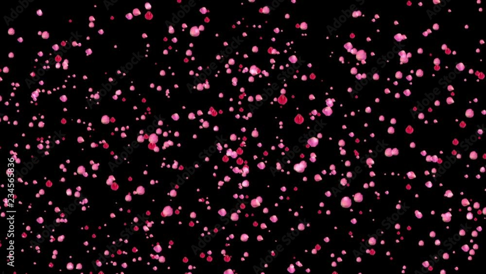 Flying in a circle rose petals.falling petals roses 3d animation on black background . Flying in a circle rose petals.falling petals roses 3d animation on black background .