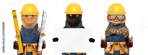 Funny cats are wearing a suit of builder and holding a builder's level and project plan. Craftsman on the white background. photo