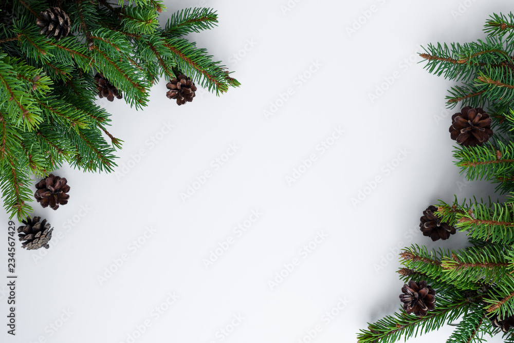 Obraz premium Top view of green christmas tree branches with brown cones as a decoration frame on white background, with copy space.