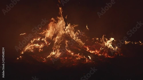 close up bonfire flames of camping fire in slow mo 120fps photo