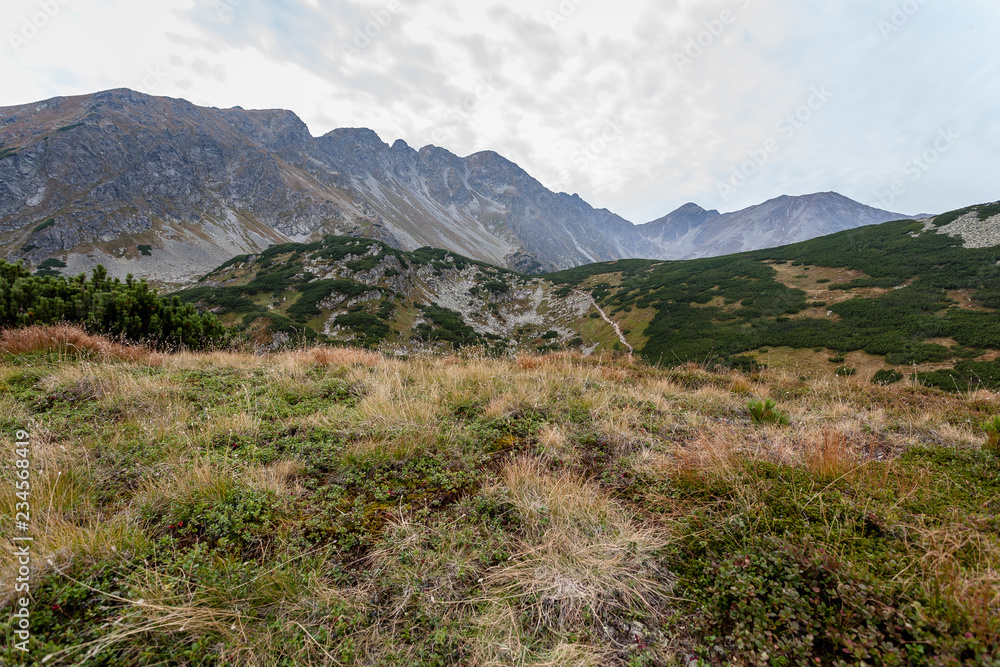 hiking trails in Slovakia Tatra mountains near mountain lake of Rohache hiking trails in Slovakia Tatra mountains near mountain lake of Rohache