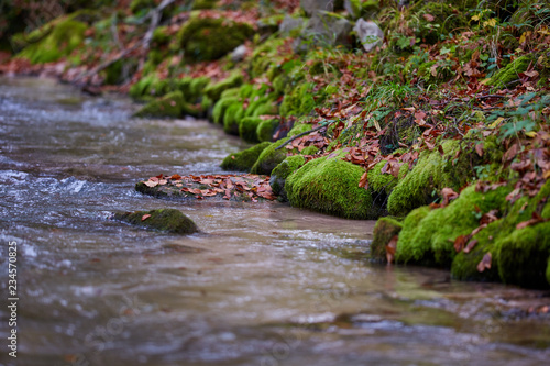 River flowing through forest in the fall