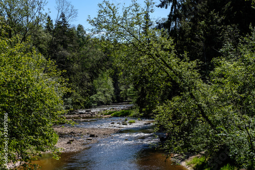 calm summer day view by the lake with clean water