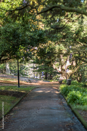 Path in Auckland Albert Park  New Zealand
