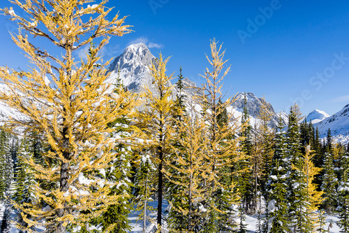 Fall Landscape