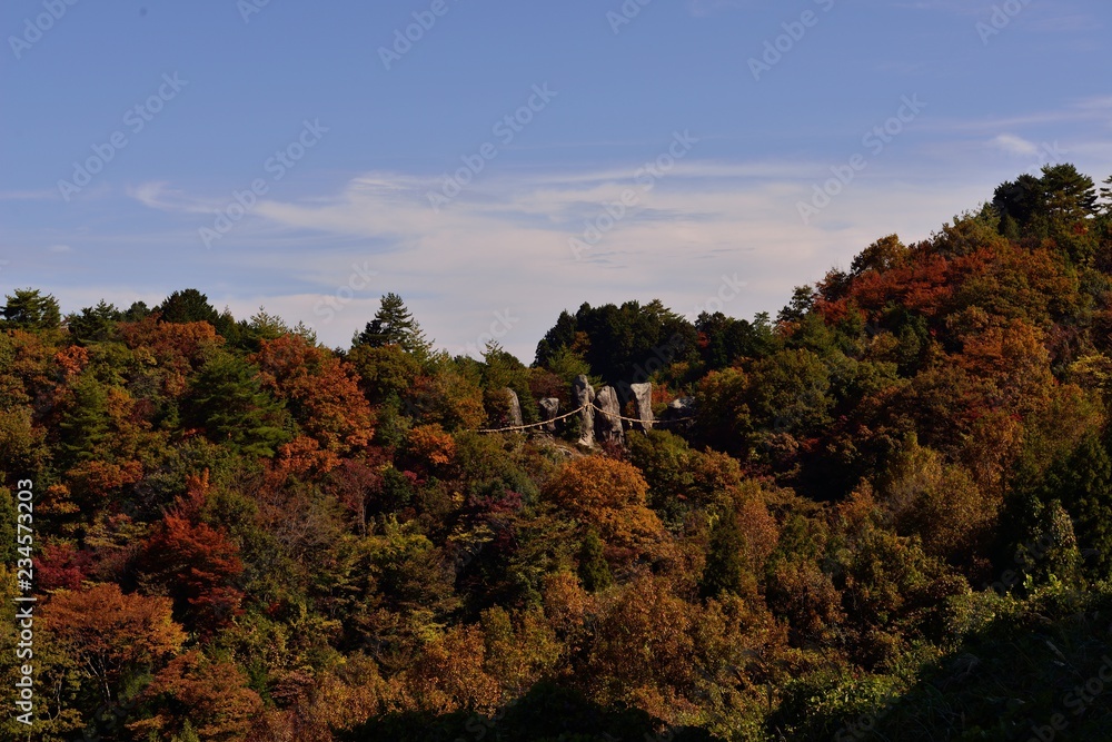 玖珠町東奥山