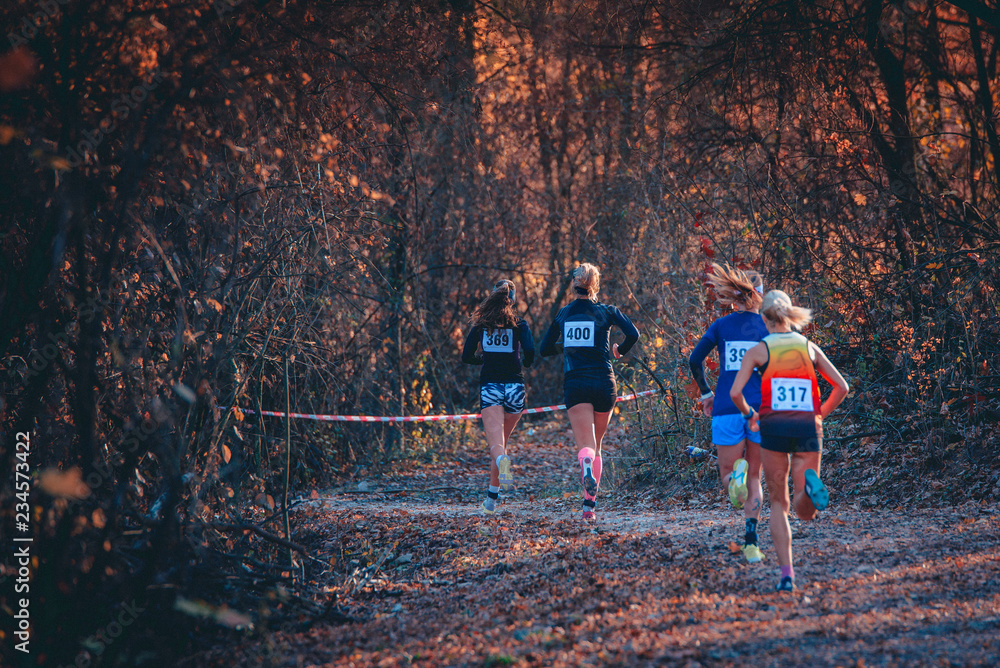 Ταπετσαρία Group of professional cross country female athletes running in competition in autumn nature